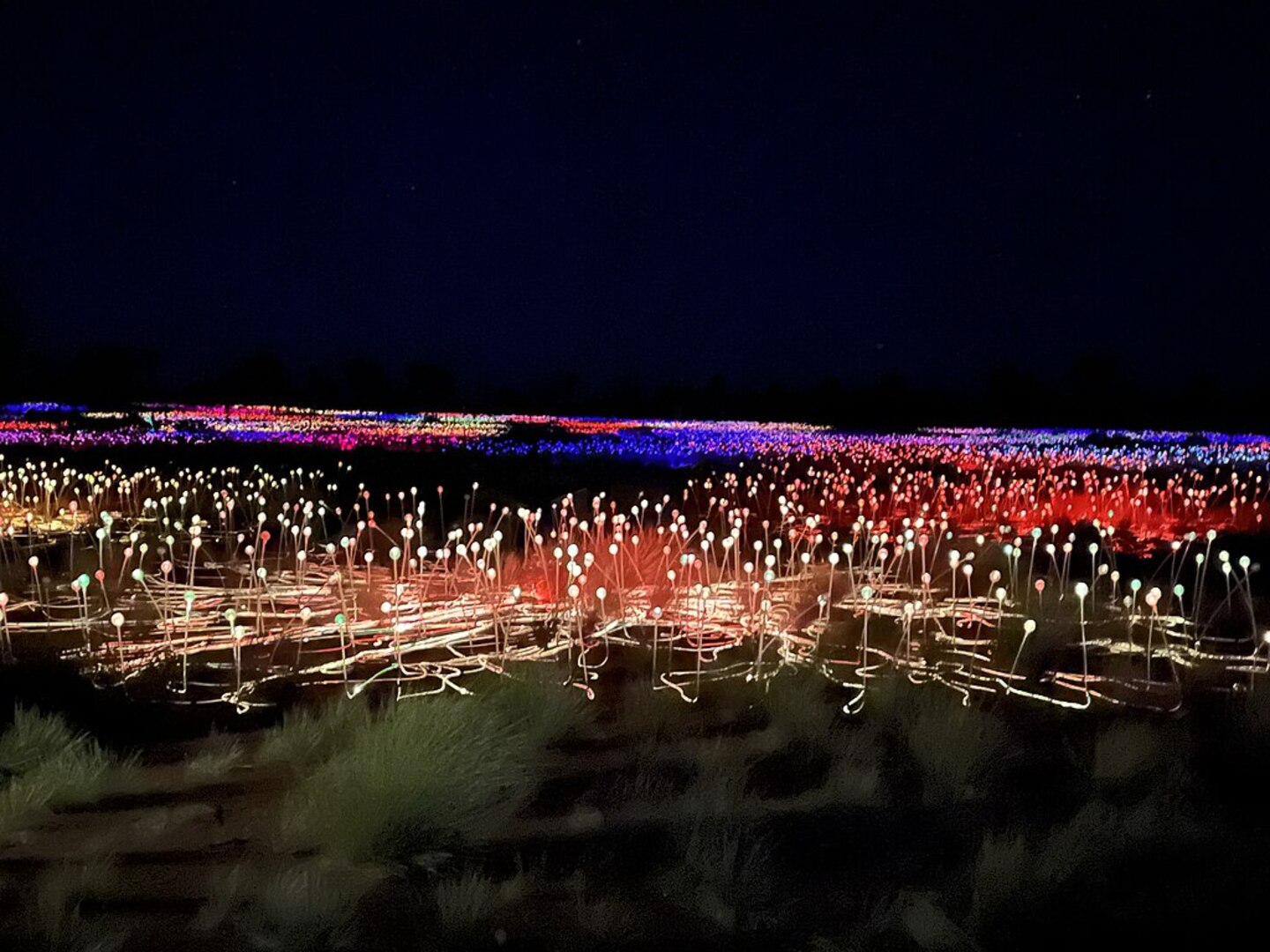 Field of Light art installation at Uluru