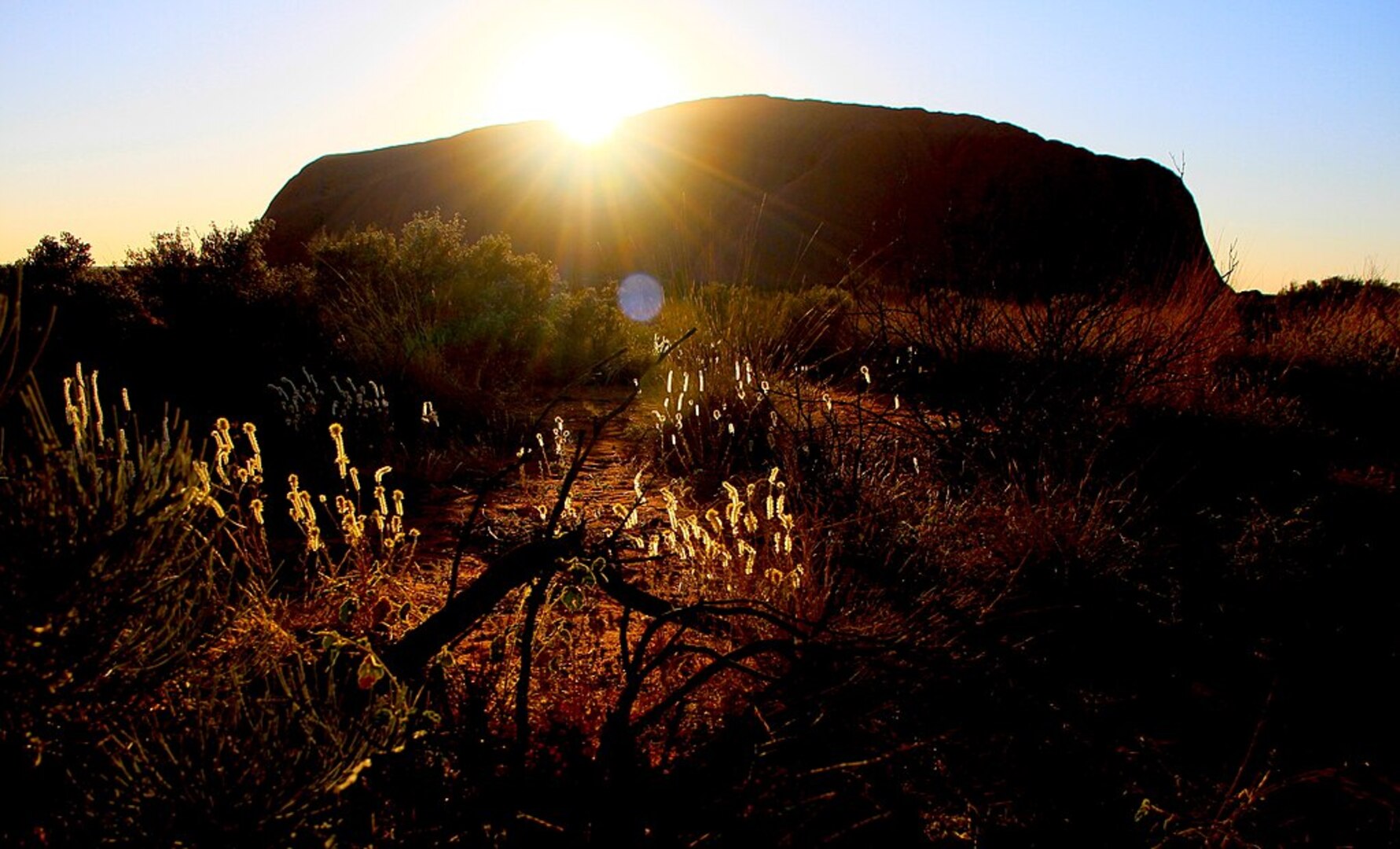 Uluru sunrise